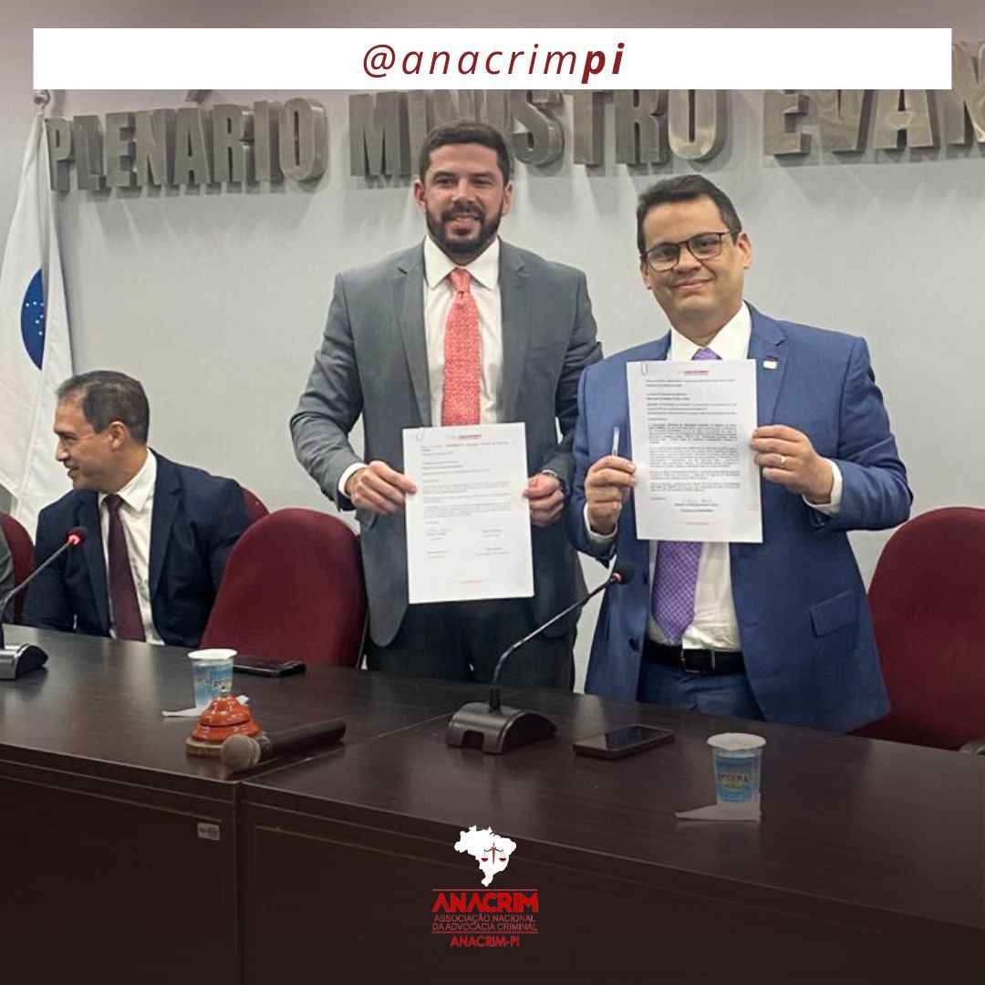 Read more about the article ANACRIM-PI INAUGURA OS TRABALHOS DE 2025 EM REUNIÃO COM A OAB-PI